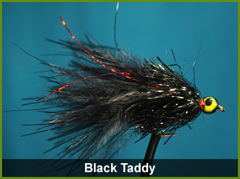 Black Taddy Fly - flies for Fishing