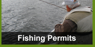 Clywedog Fishing Permits